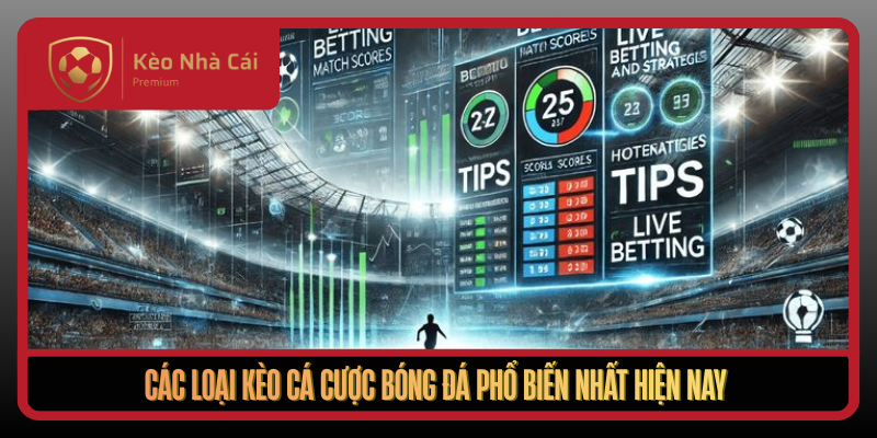 Kèo Nhà Cái macabroids - tỷ lệ kèo nhà cái Trực Tuyến Bóng Đá 3 Cac Loai Keo Ca Cuoc Bong Da Pho Bien Nhat Hien Nay1